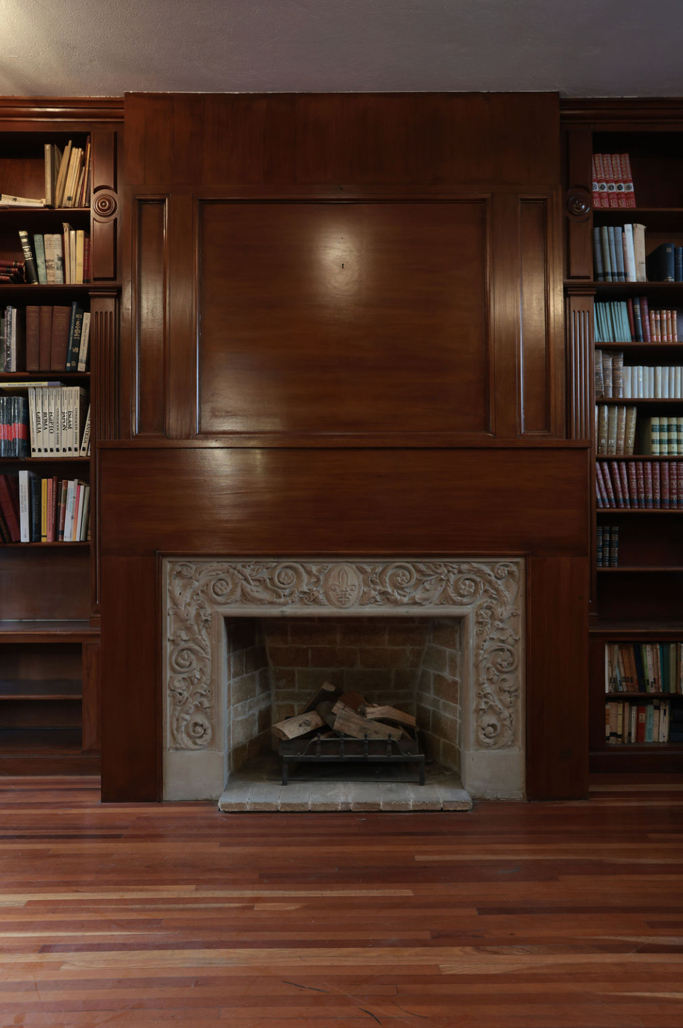 Detalle de biblioteca